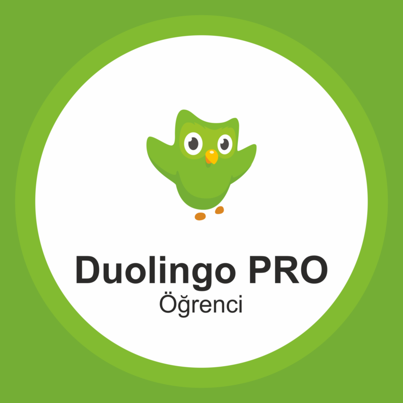 Duolingo Schüler