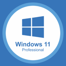 Windows 11 Pro Lizenz